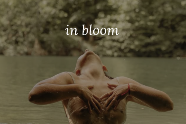 in bloom