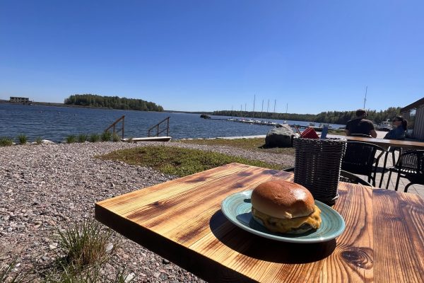 elu sotsiaalmeediata